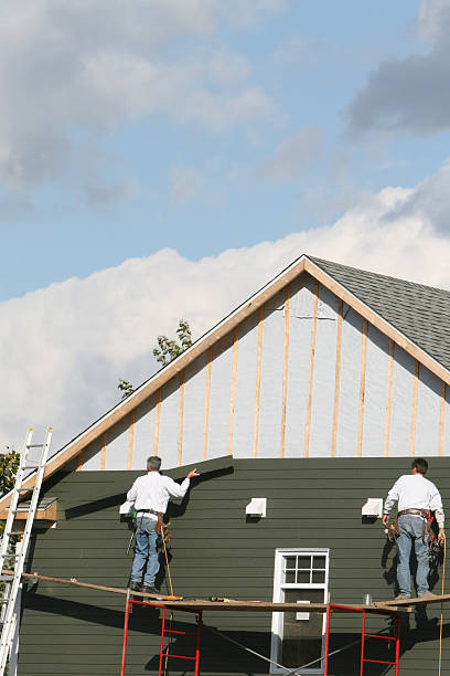 Best Shed Removal  in Ithaca, MI